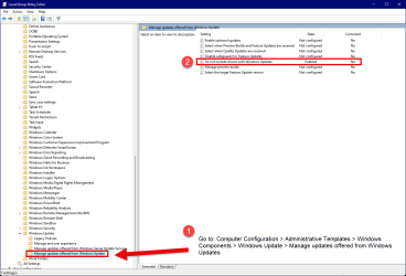 Windowns Updates GPO setting.png