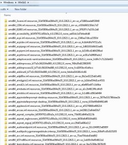 winsxs-amd64.jpg