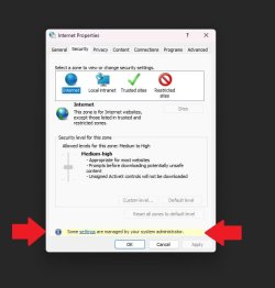 Internet Properties Window Security Tab | Windows 11 Forum