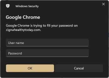 2024-08-22 Win Security Google Chrome.jpg