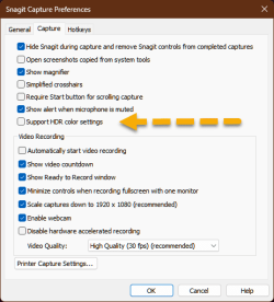 snagit hdr settings.png