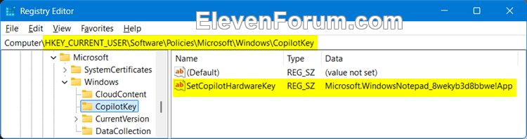 SetCopilotHardwareKey_regedit.png