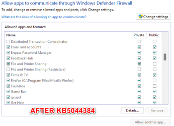 Windows Defender Firewall - Allow Apps (After KB5044384) With Text.png