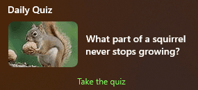 Windows 11 Lock Screen - Daily Quiz (Squirrel).png