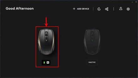 mouse 1.jpg