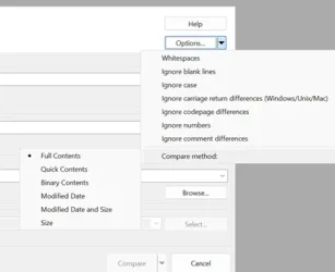 WinMerge options.webp