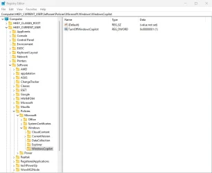 CoPilot Regedit.webp