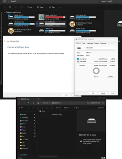 NoRecoveryDrive.webp