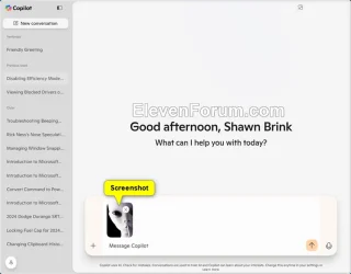 Copilot_take_screenshot-3.webp