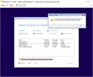 The selected disk has an MBR partition table. On EFI systems, the operating system can only b...webp