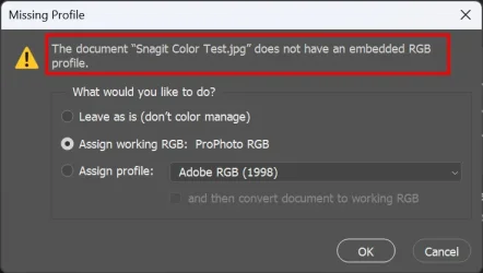 Snagit - no color profile.webp