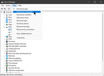 Device Manager - Devices By Connection.png