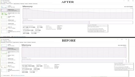 RAM WITH IOBIT.jpg