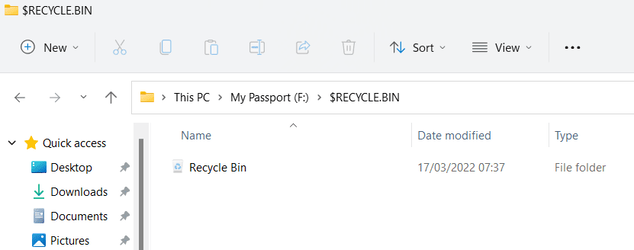 SRecycleBin.png