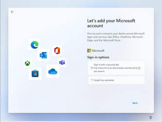 22000-132 Setup Let's add your Microsoft account - Sign-in options.PNG