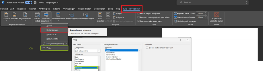 kopvoettekstbestandsnaam.png
