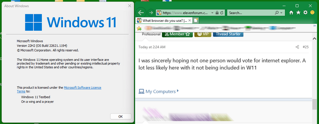 IE on Win11 22H2.png