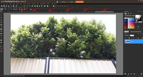 Corel PaintShop Pro With Tabs Open Arrows.jpg