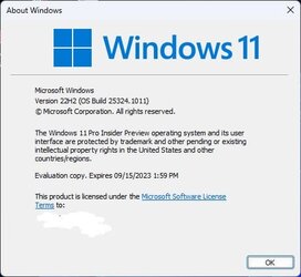 Windows 11 Build Number.jpg