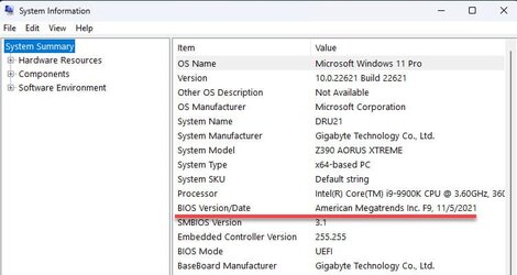 Sys info - BIOS version.jpg