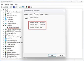 Device Manager Firmware info.jpg