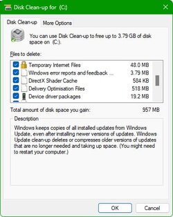 Disk Cleanup.jpg