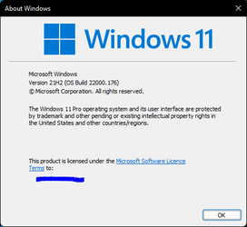 windows11176.PNG