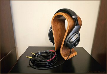 Sennheiser-HD700-with-Black-Dragon-Cable.jpg