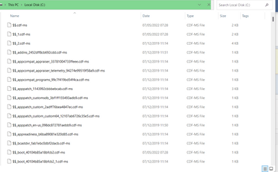 Screenshot 2023-08-19 023504 Local C Drive.png