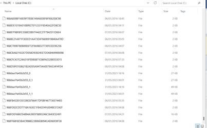 Screenshot 2-2023-08-19 023504 Local C Drive.png