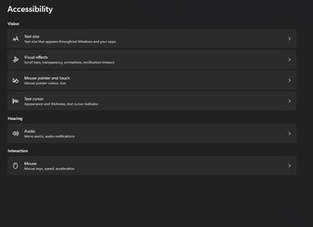 2023-10-16 10_09_28-AccessibilitySettings.jpg