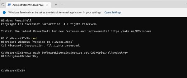 win11-activation-wmic-cmd4.jpg