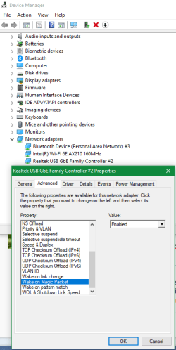 LAN adapter properties.png