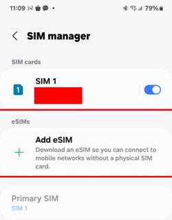 eSim.jpg