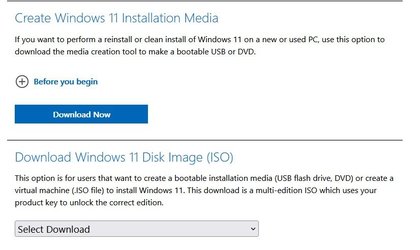 W11 iso download options.jpg