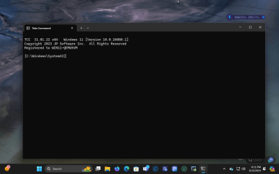 Screenshot_win11-canary_2024-03-13_18:11:59.png