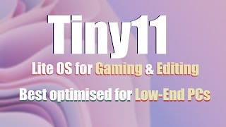 Topic: Introducing tiny11 a lightweight and debloated Windows 11 for less  powerful PCs @ AskWoody